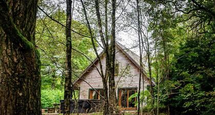 Denstone; woodland lodge for 8 with hot tub, log burner, BBQ, near Alton Towers.