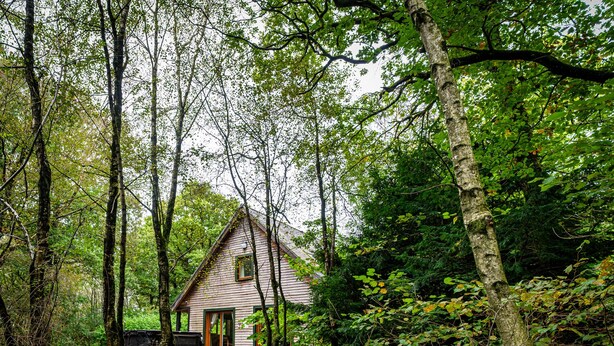 A cabin surrounded by dense forest. - Denstone; woodland lodge for 8 with hot tub, log burner, BBQ, near Alton Towers. (Stoke-on-Trent)