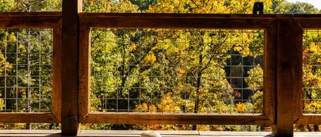 Una terraza de madera con vistas a árboles otoñales a través de una ventana con celosía metálica.