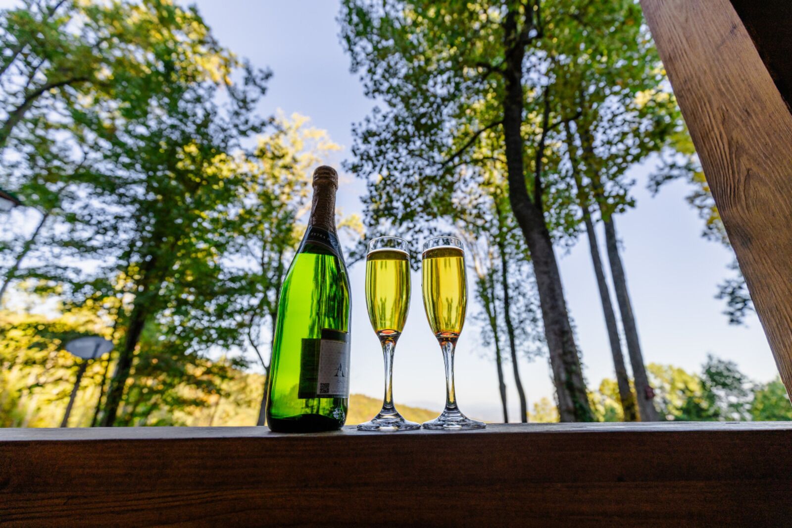 A bottle and two glasses on a wooden ledge with a forest background.