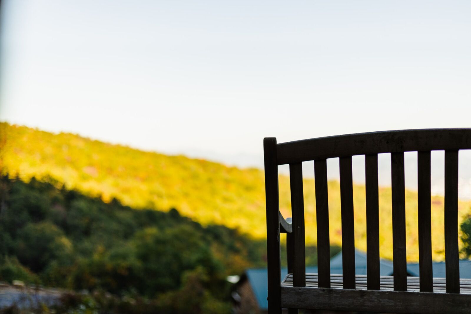 A wooden bench with a view of a lake and a forested hillside.