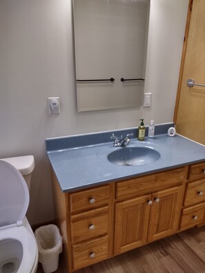 Shower, towels, soap, toilet paper