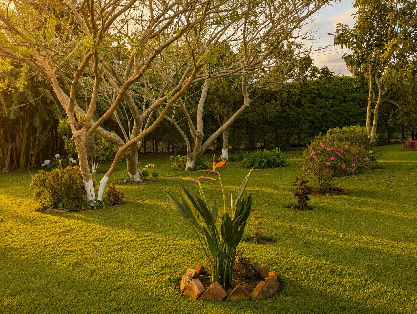 Un jardin bien entretenu, agrémenté de diverses plantes et arbres.