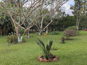 Property grounds - El Hogar del Torogoz (Concepción de Ataco)