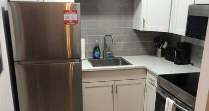 Updated downtown FTL apartment