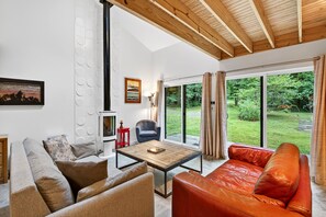 Smart TV, fireplace, books, stereo