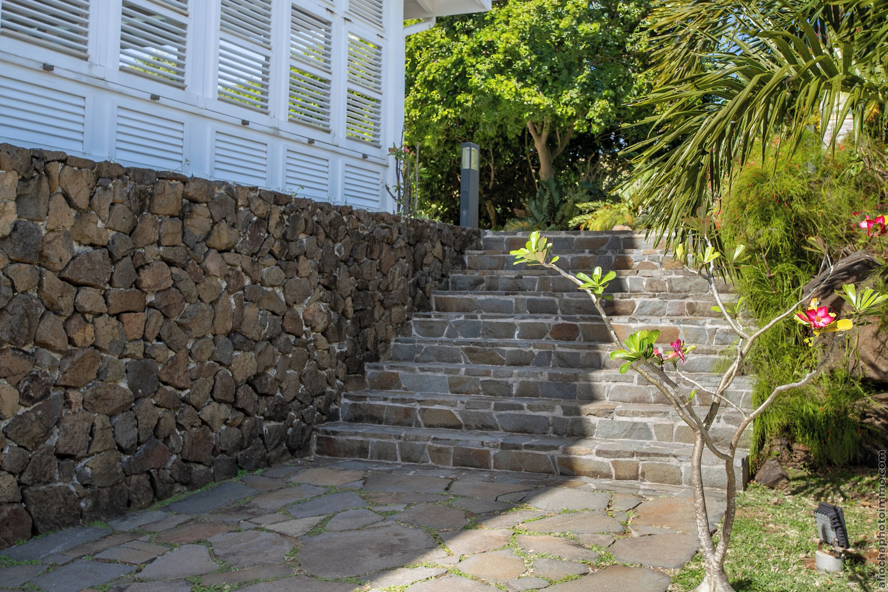 A stone staircase leading to a white building with shutters, surrounded by greenery and a small tree with flowers.