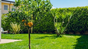 A garden with a tree bearing fruit, a neatly trimmed hedge, and a building in the background. - Lugana Lovers - Italian Homing (Sirmione)