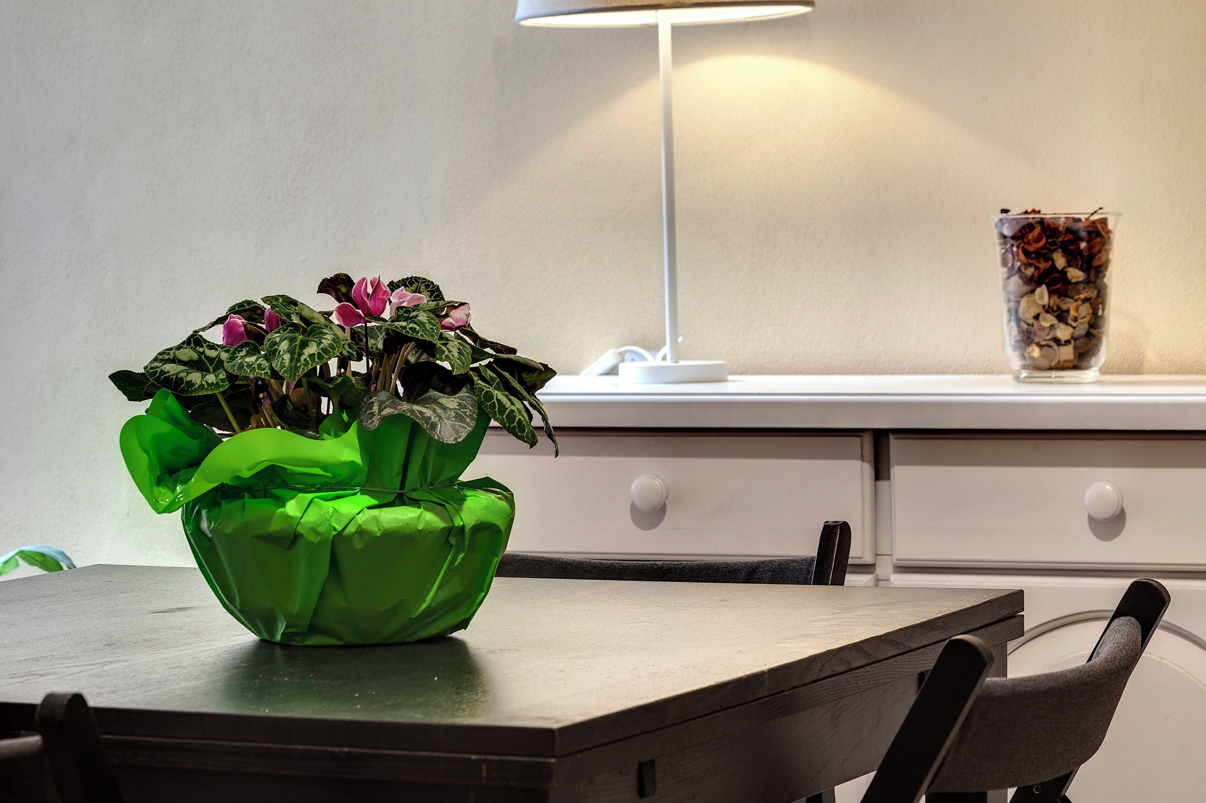 Un tavolo con una pianta verde in vaso, una lampada bianca e un vaso di vetro con fiori secchi.