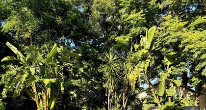 Casa Antigua: Historic Villa with POOL & FIRE-PIT