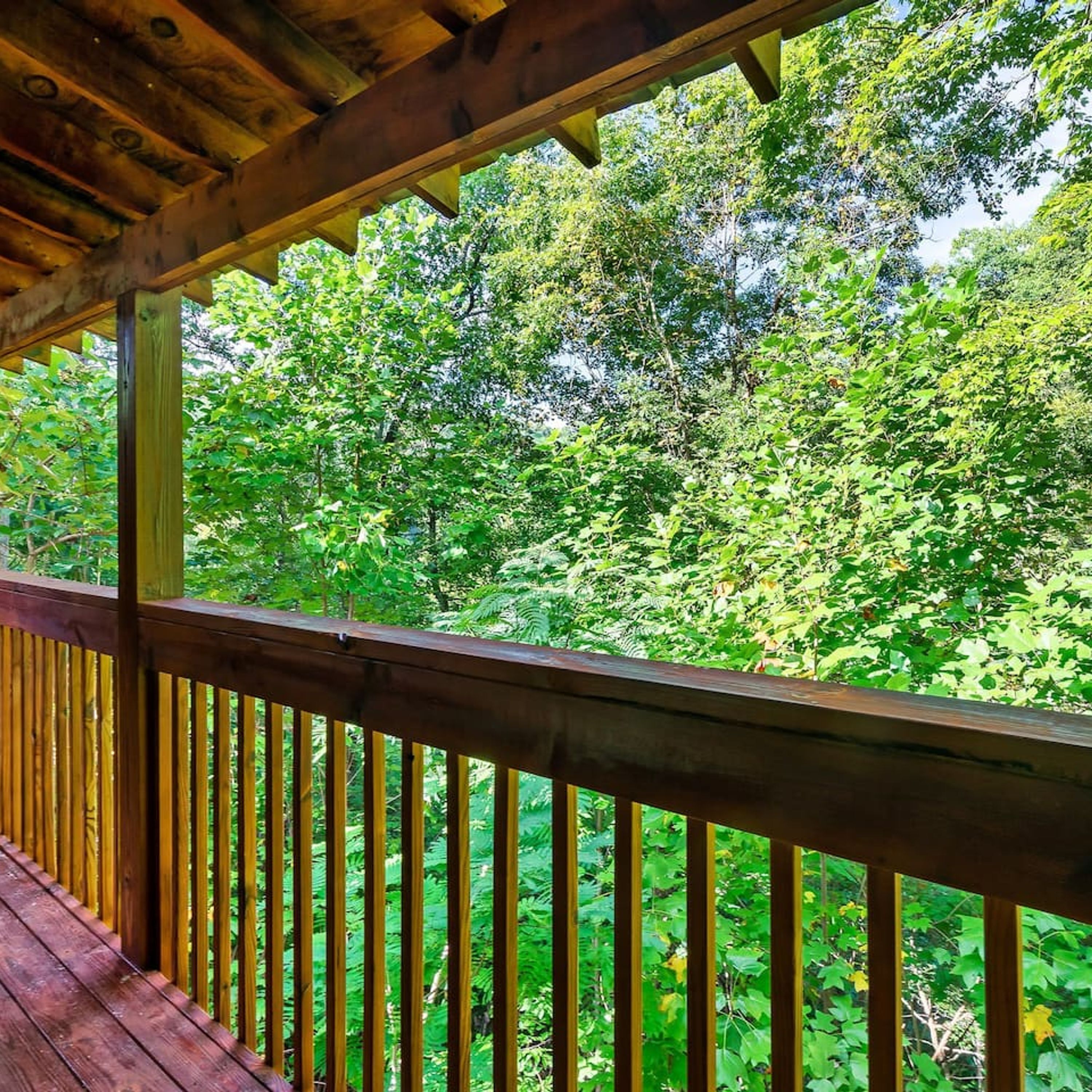 A wooden deck with a view of dense green foliage.