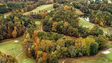 Apartment | 1 bedroom