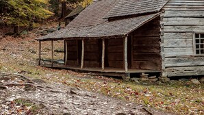 Un chalet rustique doté d’un porche, entouré d’un feuillage automnal.