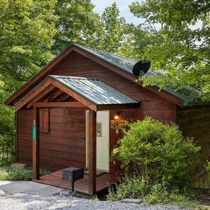 House - Close to Pigeon Forge Gatlinburg I Hot tub (Sevierville)