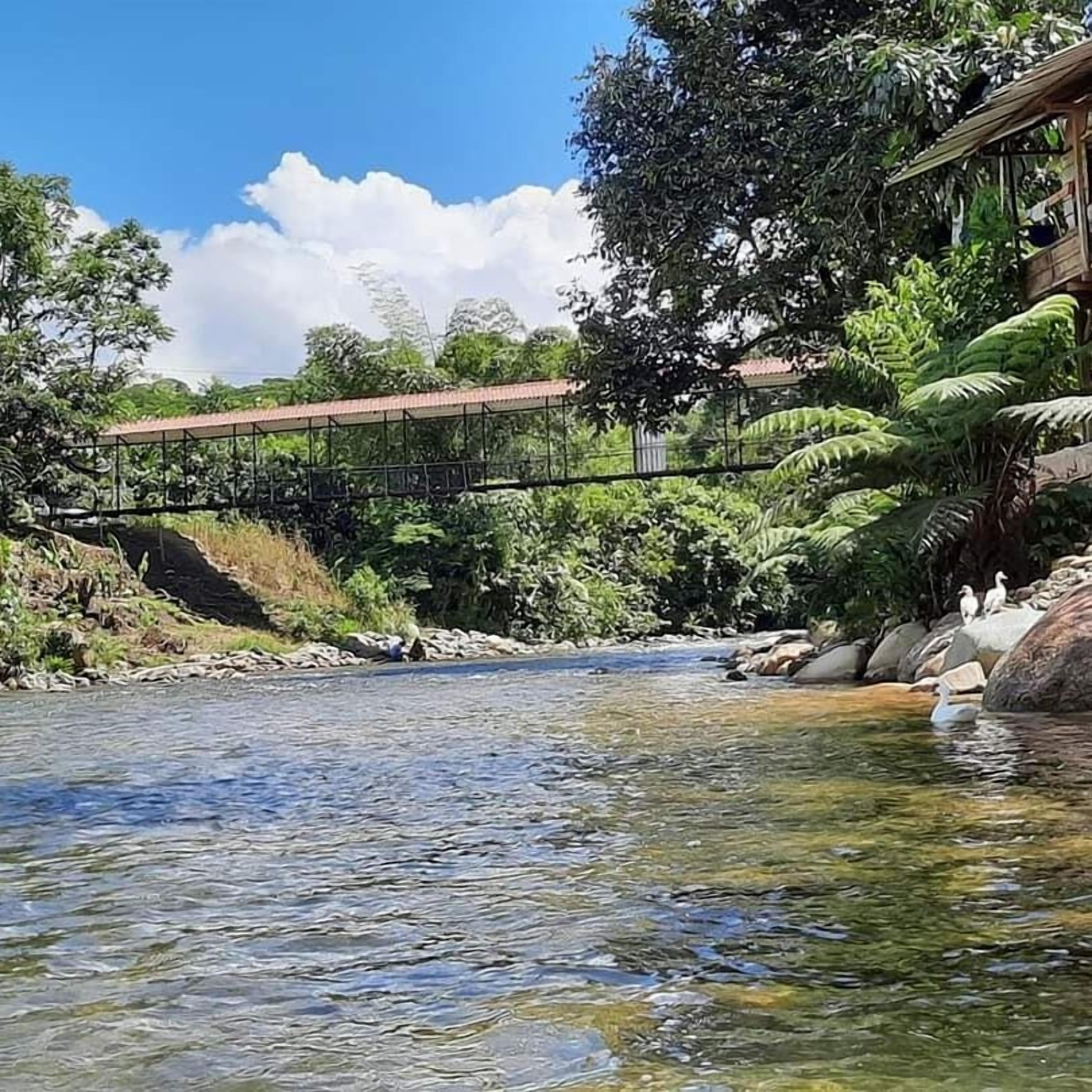Un río con un puente, rodeado de exuberante vegetación y rocas.