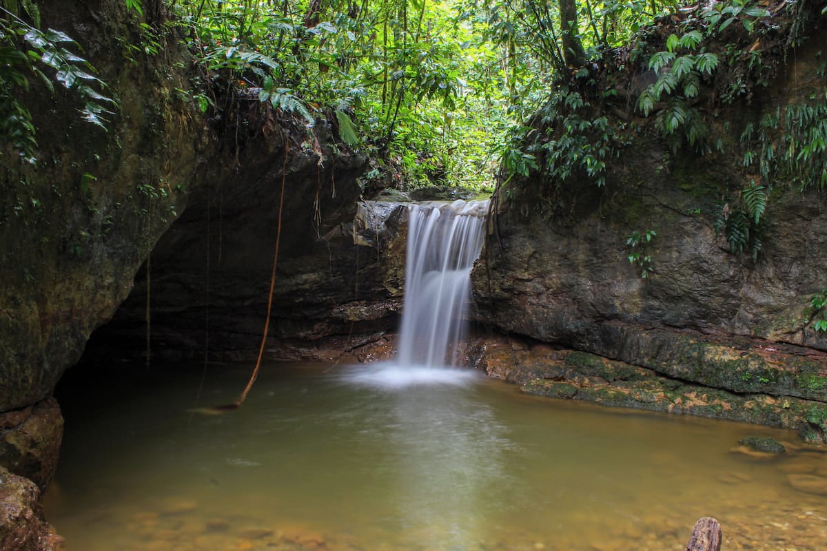 A waterfall in a forested area with a clear water pool at the base.