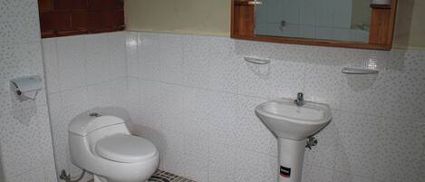 A bathroom with a toilet, a sink, and a mirror above the sink.