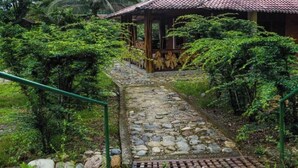 레스토랑
