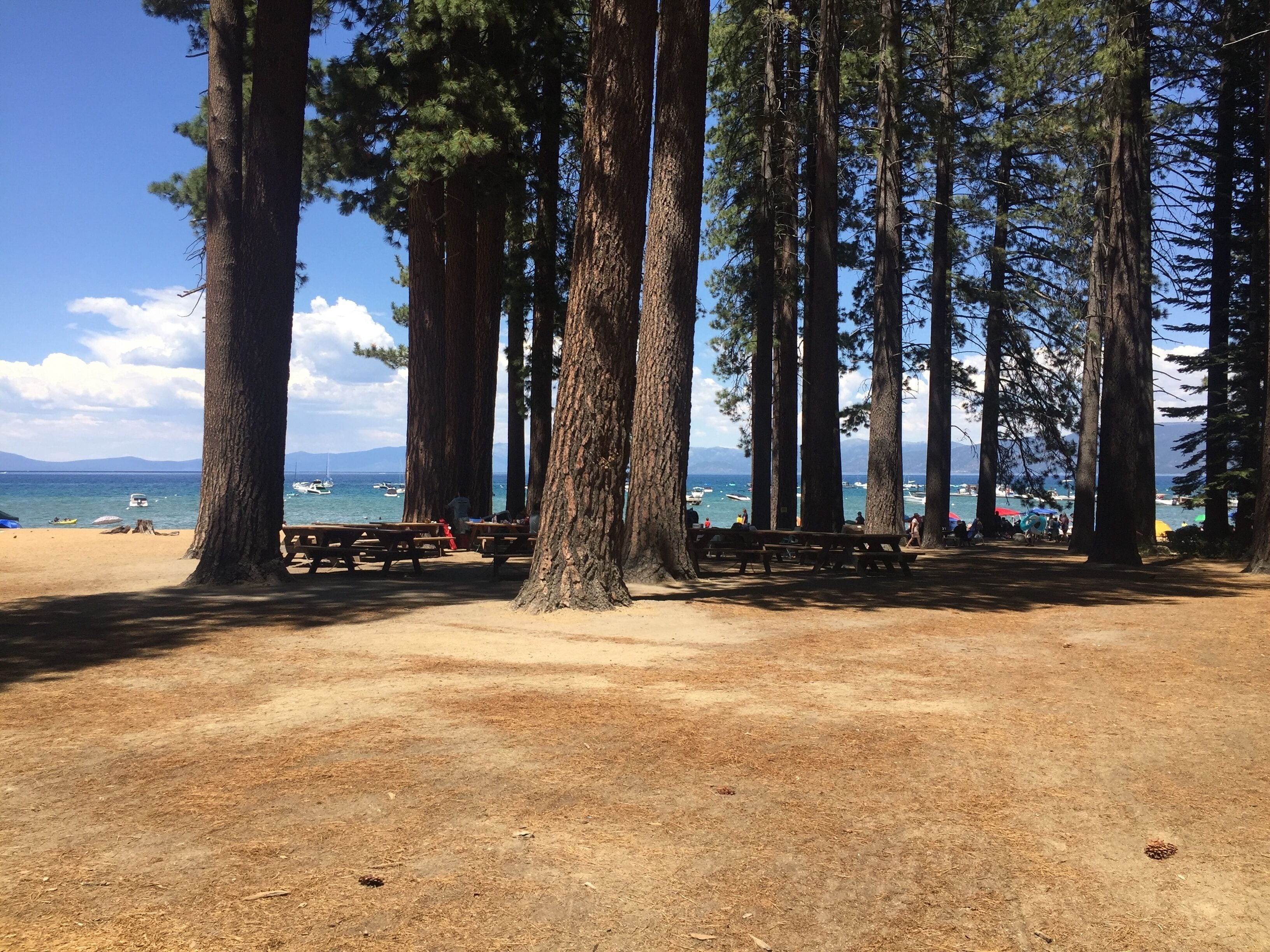 Grill-/Picknickplatz