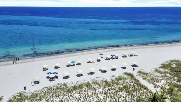 A beach with white sand, clear blue water, and beach umbrellas. - Tropical Retreat with Beach & Resort Amenities (Key biscayne)