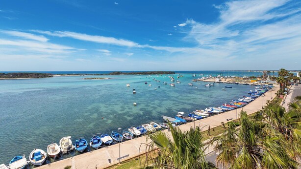 Un puerto costero con numerosas embarcaciones amarradas a lo largo de un paseo pavimentado, con vista a un mar azul y despejado.