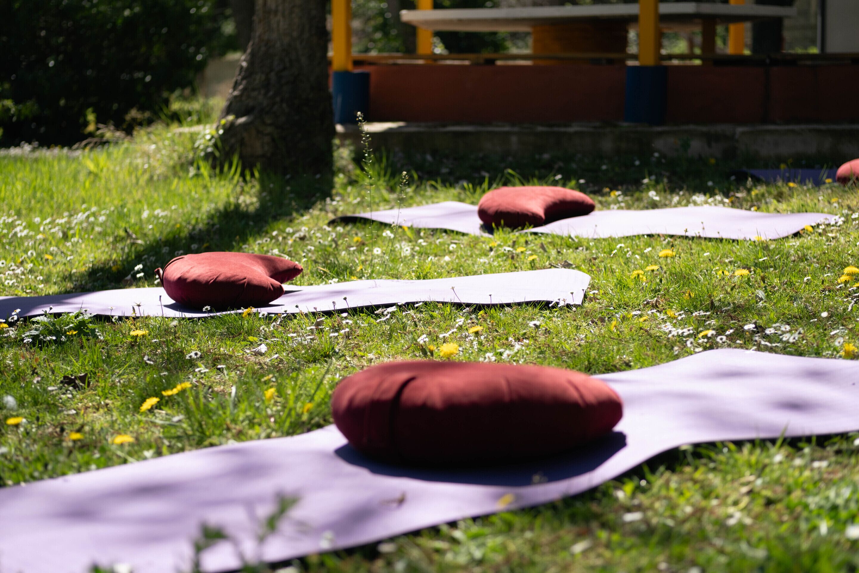 Un espace herbeux avec des tapis de yoga et des coussins rouges, probablement situé dans un parc ou dans un espace extérieur aménagé.