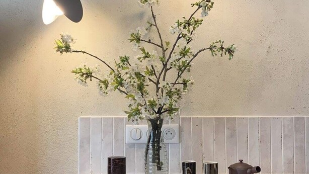 A kitchen counter with a vase of flowers, a teapot, and a magazine.
