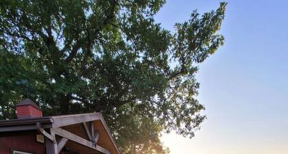 Peaceful Cabin-Breathtaking Views near Branson, MO