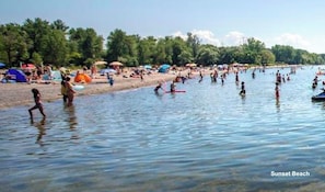 Enjoy swimming and sunbathing in the clear waters of Sunset Beach, surrounded by trees and shaded by umbrellas.