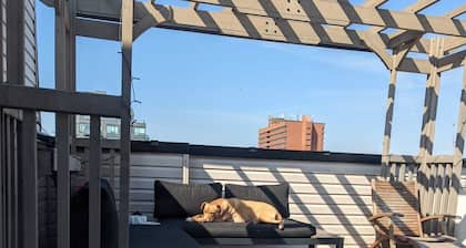 Bright spacious rooms on the Danforth.