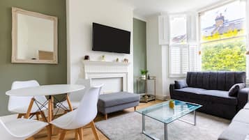 TV, fireplace, books