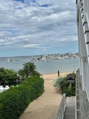 Plage, chaises longues, serviettes de plage