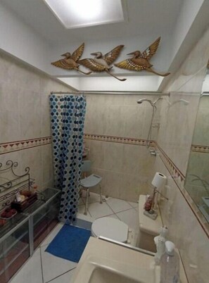 Bathroom features a shower area, toilet, and sink with a mirror above.
