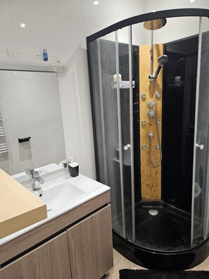 Shower, towels, toilet paper