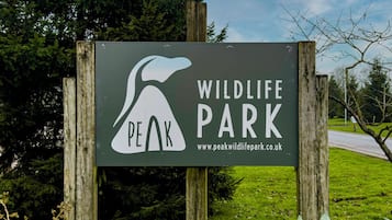 DĂ©tail de lâextĂ©rieur