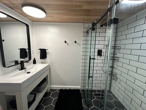 Shower, hair dryer, towels, soap - Cottage in Lexington with Lake view just 100 steps from the beach!! (Lexington)