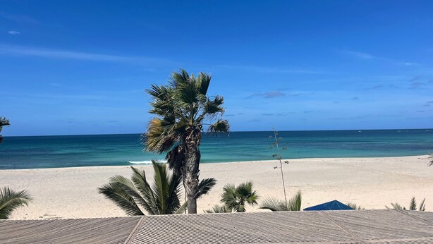 Vista de playa con palmeras y cielo despejado.