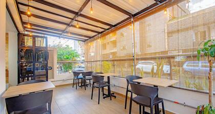 Novus Laureles
