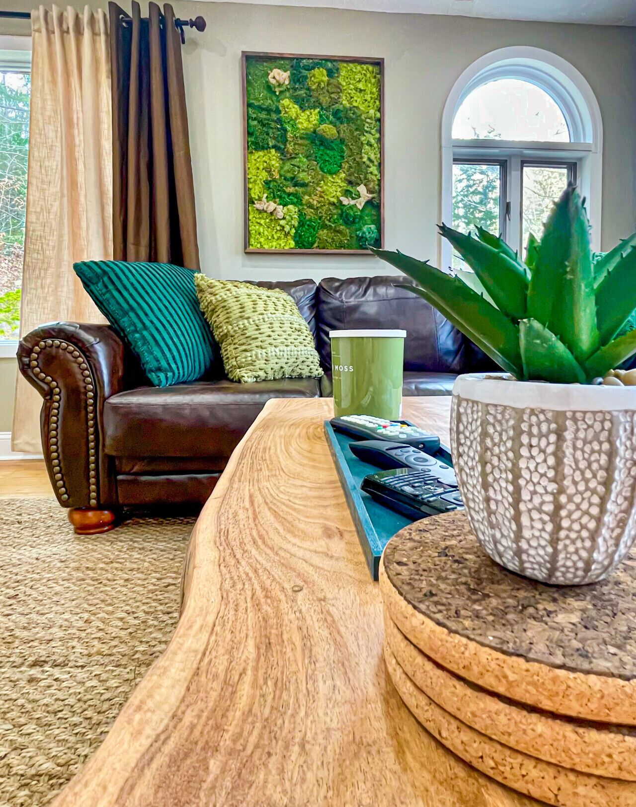 Un salon avec un canapé en cuir, une table basse, une plante en pot et un tableau accroché au mur.