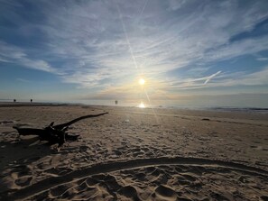 Camastros y toallas de playa 