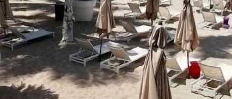 على الشاطئ، كراسي للتشمس، مناشف للشاطئ