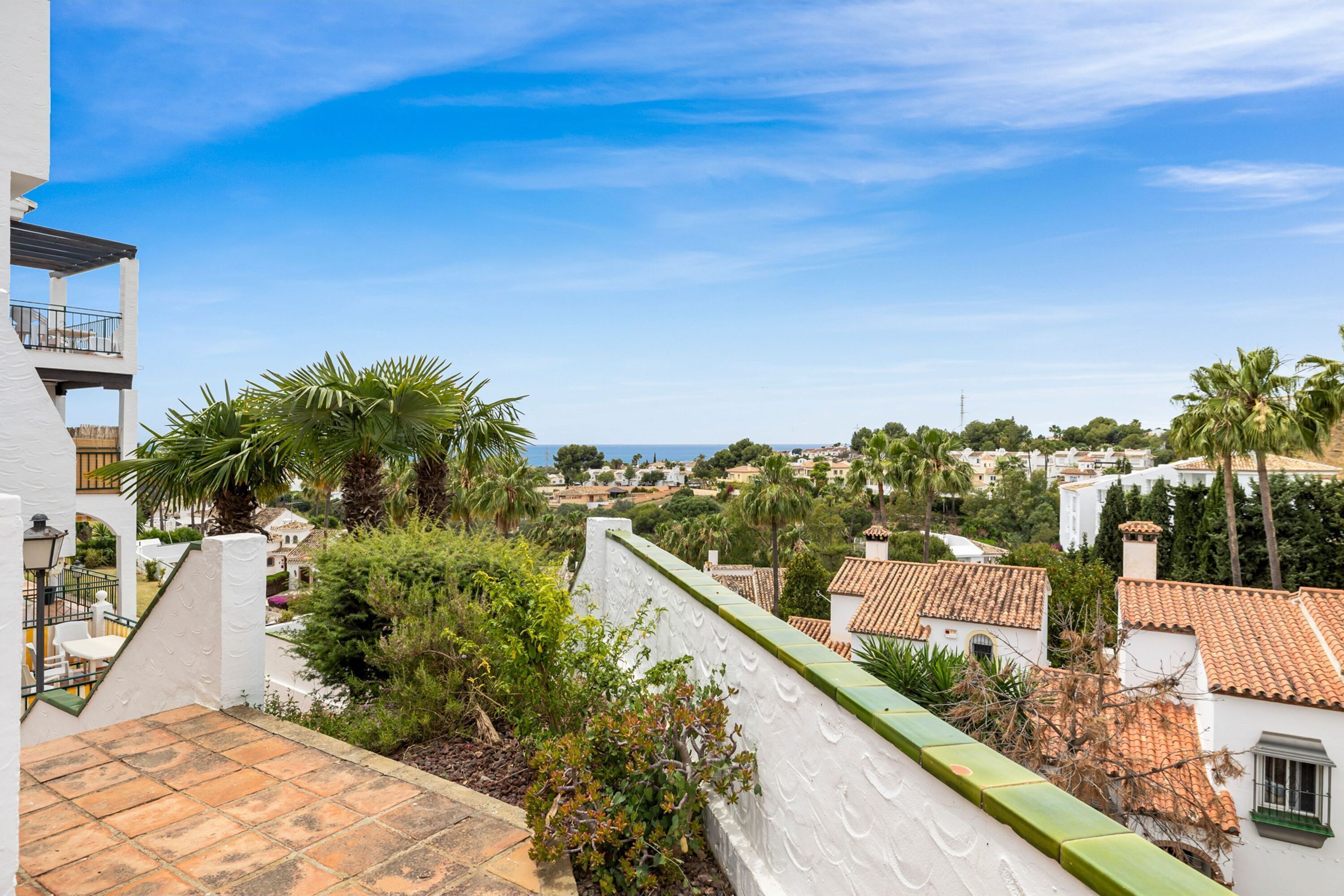A residential area with white buildings, green roofs, and palm trees.