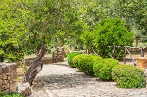 Property grounds - Rural Villa Es Pont with pool in Mallorca (Campanet)