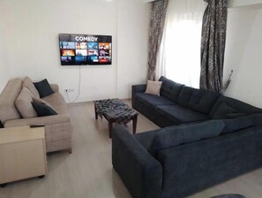 Smart TV, computer monitors