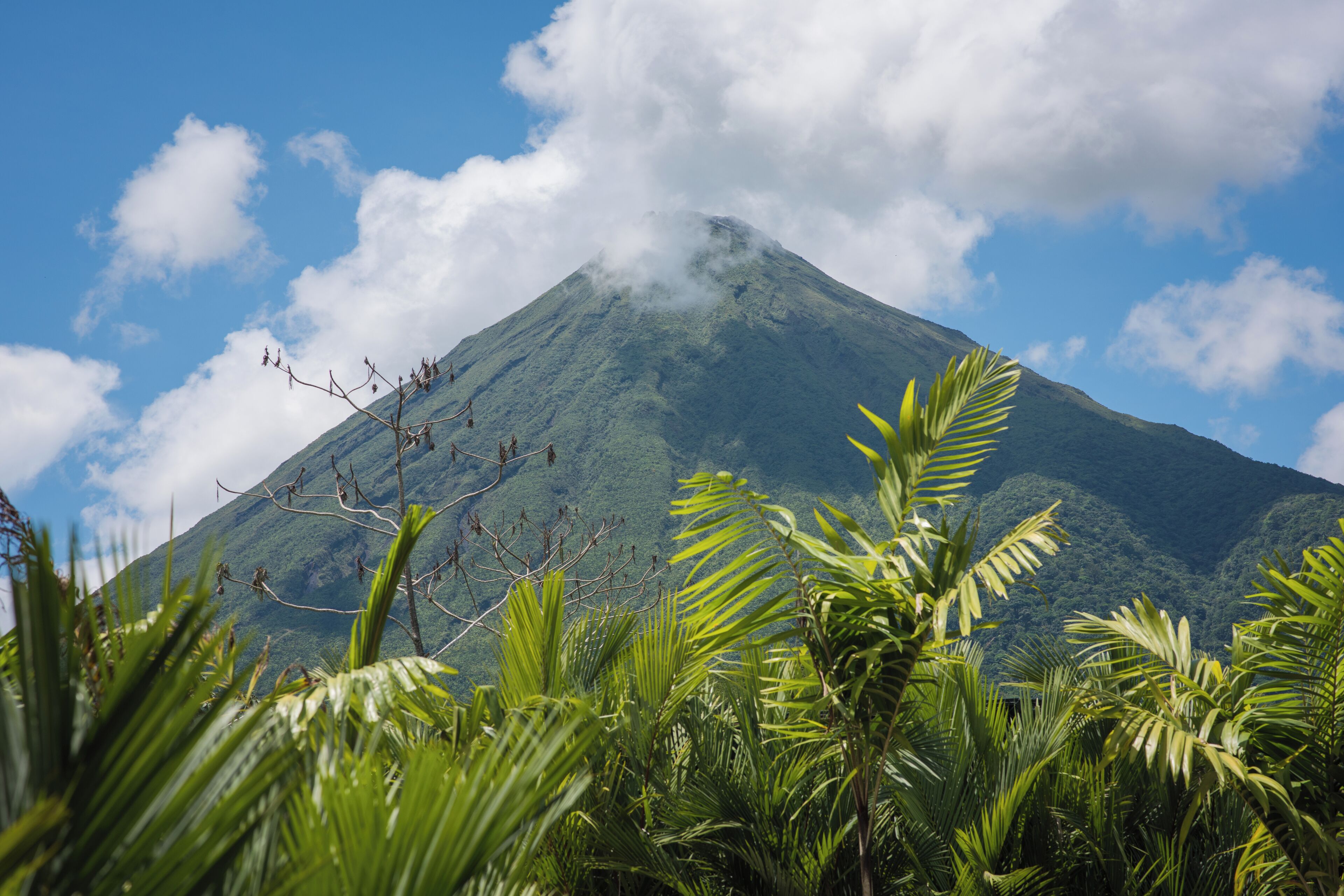 Une montagne aux flancs verdoyants, sous un ciel dégagé.