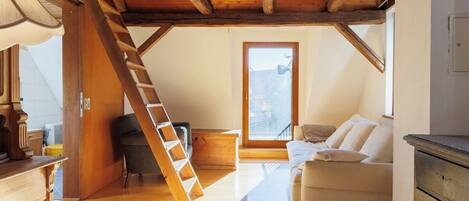 Télévision, cheminée, livres