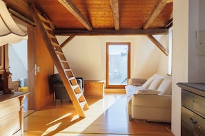 Fernseher, Kamin, Bücher