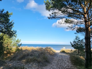 Playa en los alrededores 