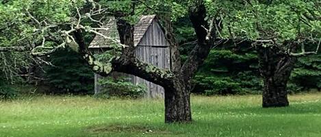 Khuôn viên nơi lưu trú