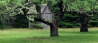 Meta Goldin Farmhouse - Meadow!